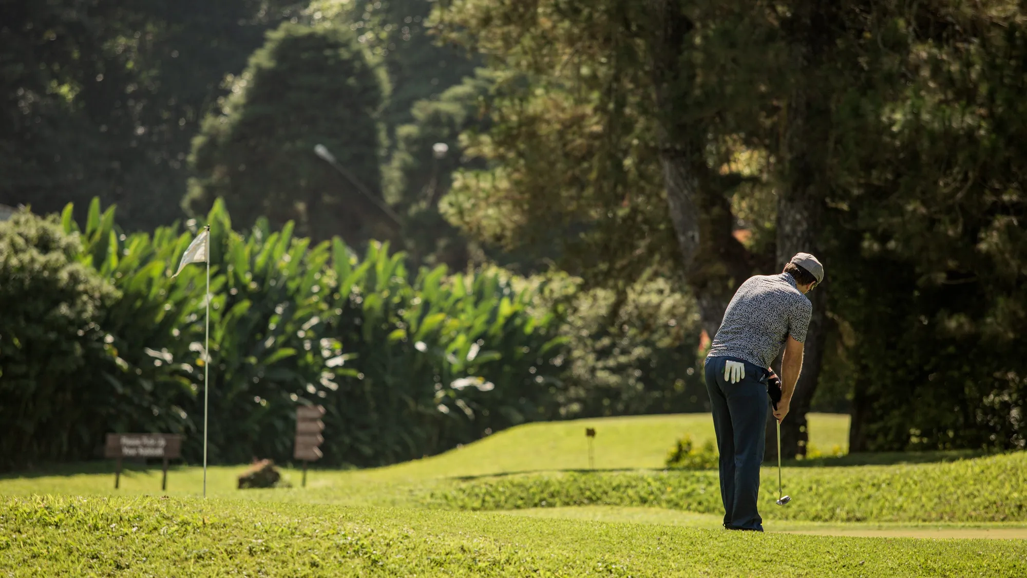 El golf español supera los 300.000 federados: un éxito en crecimiento sostenido