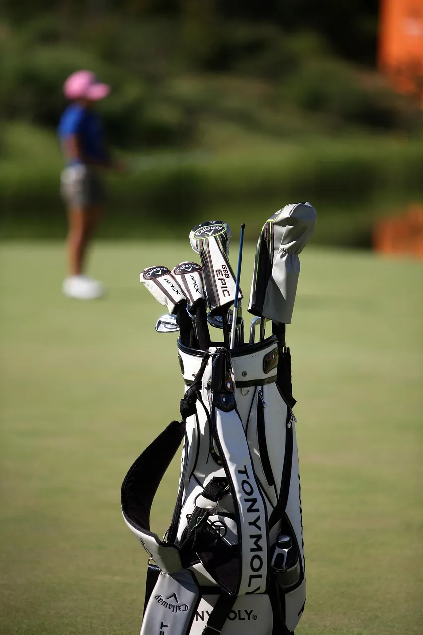 History of golf in Andalusia, clubs and circuits