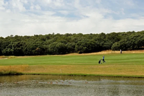 Cuanto tiempo se tarda en aprender golf, etapas