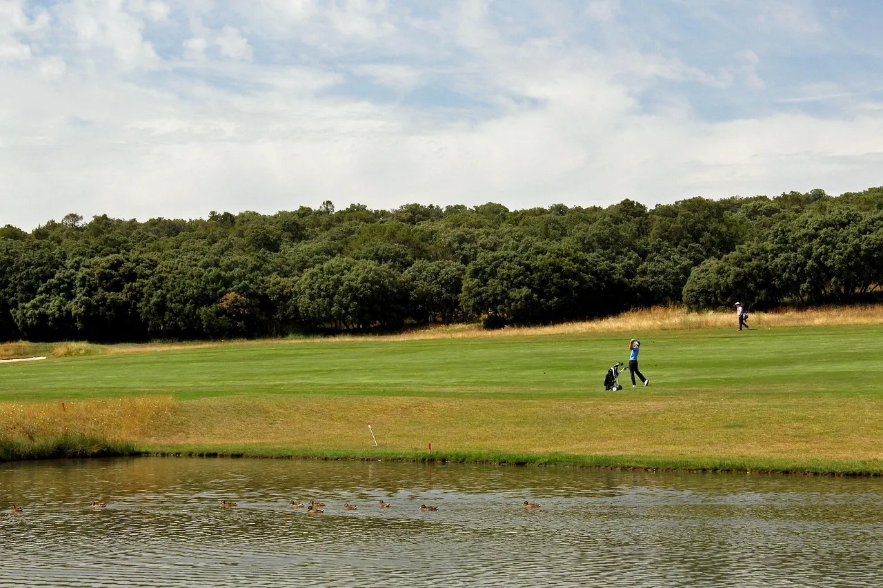 Cuanto tiempo se tarda en aprender golf, etapas