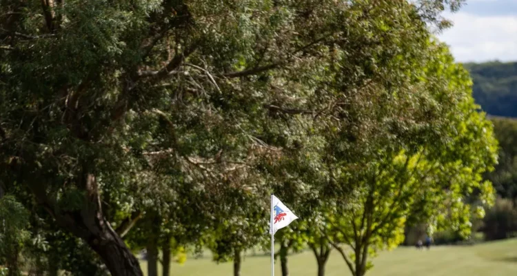 Golf en la Costa del Sol, destino de golf