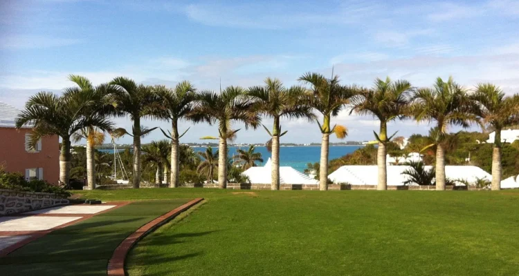 Sea views and golf, golf courses in Andalusia with the Mediterranean in front of you.